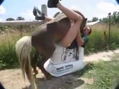 Impressive horse sex in outdoors with an anal lover man 